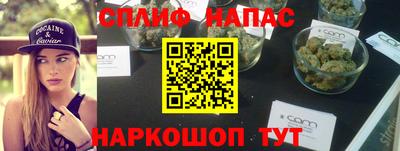дмт Кимры