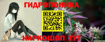 дмт Кимры