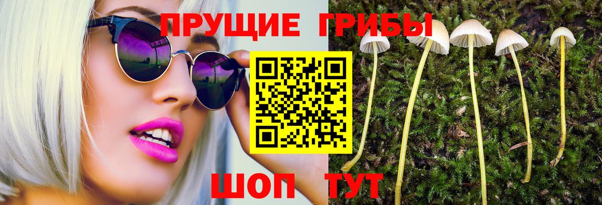 купить наркотик  Галлюциногенные грибы MAGIC MUSHROOMS  Вход с VPN  Ханты-Мансийск 
